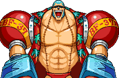 Franky, Cyborg du Sunny