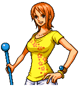 Nami, Cat Burglar