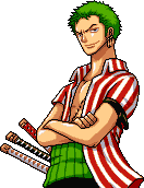 Zoro, Pirate Hunter